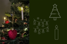 Juletræet med sit pynt – sådan vælger du det rigtige juletræ, juletræslys og tilbehør