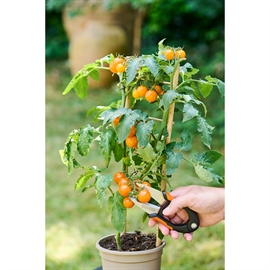Black & Decker Blomstersaks – 15 cm Rustfrit Stål, Sort/Orange