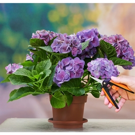 Black & Decker Blomstersaks – 16 cm med Sikkerhedslås, Sort/Orange